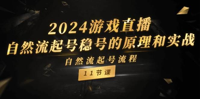2024游戏直播-自然流起号稳号的原理和实战，自然流起号流程（11节）-源创智汇网