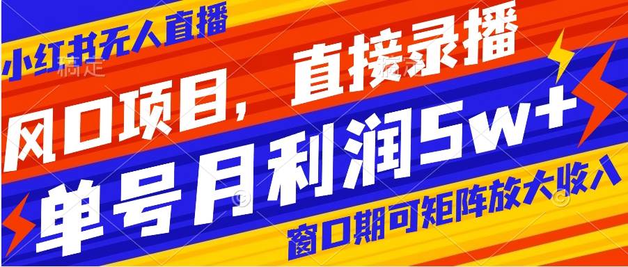 风口项目，小红书无人直播带货，直接录播，可矩阵，月入5w+-源创智汇网