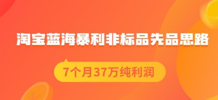 盗坤淘宝蓝海暴利非标品先品思路，7个月37万纯利润，压箱干货分享！【付费文章】-源创智汇网