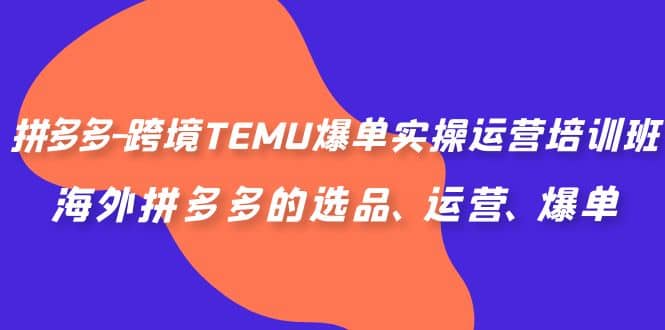 拼多多-跨境TEMU爆单实操运营培训班，海外拼多多的选品、运营、爆单-源创智汇网