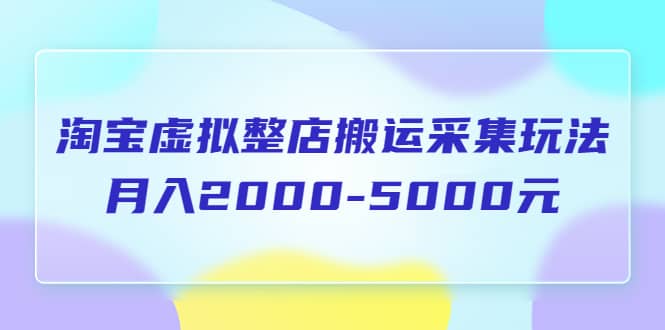 淘宝虚拟整店搬运采集玩法分享课：月入2000-5000元（5节课）-源创智汇网