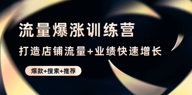 流量爆涨训练营：打造店铺流量+业绩快速增长 (爆款+搜索+推荐)-源创智汇网