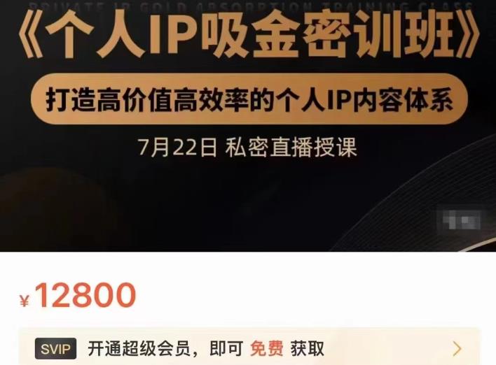 个人IP吸金密训班，打造高价值高效率的个人IP内容体系（价值12800元）-源创智汇网