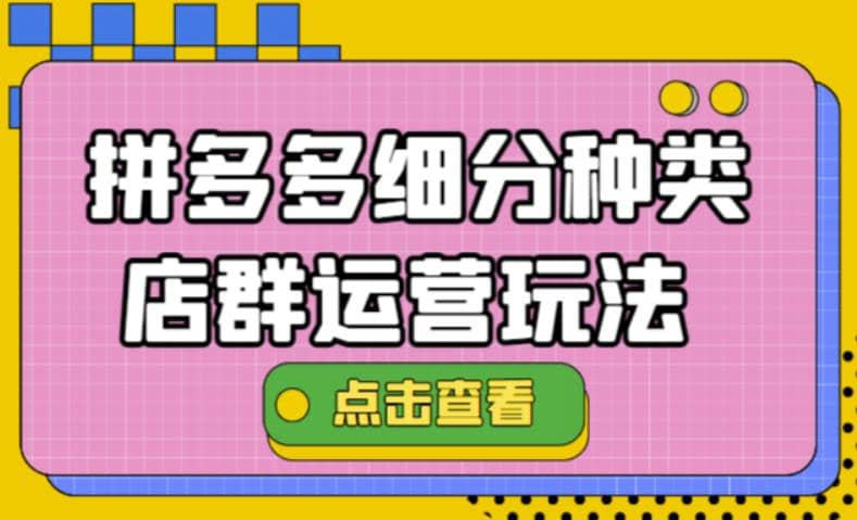 拼多多细分种类店群运营玩法3.0，11月最新玩法，小白也可以操作-源创智汇网
