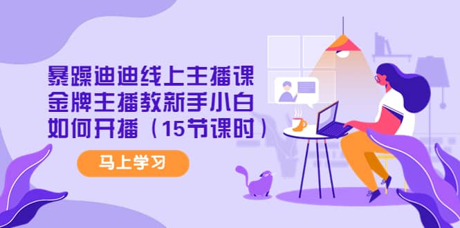 暴躁迪迪线上主播课，金牌主播教新手小白如何开播（15节课时）-源创智汇网