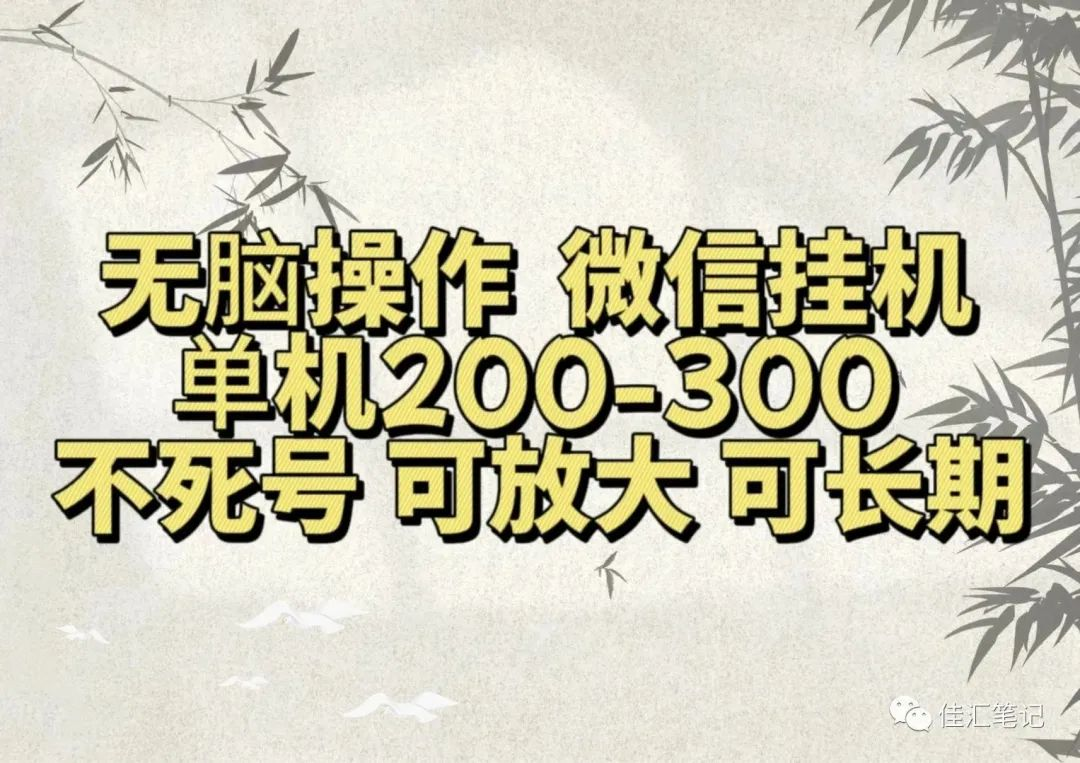 无脑操作微信视频号挂机单机200-300一天，不死号，可放大，工作室实测-源创智汇网