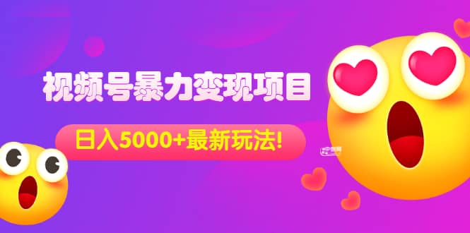 外面收费699的视频号暴力变现项目，日入5000+，简单易操作当天见效果-源创智汇网