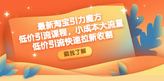 最新淘宝引力魔方低价引流实操：小成本大流量-源创智汇网