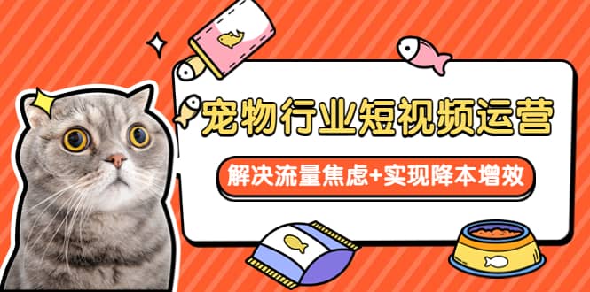 宠物/行业短视频运营 流量增长的一层窗户纸 解决流量焦虑+实现降本增效-源创智汇网
