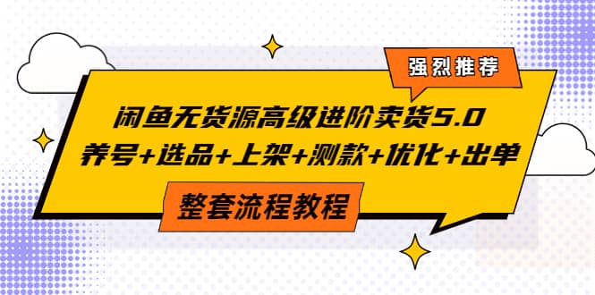 闲鱼无货源高级进阶卖货5.0，养号+选品+上架+测款+优化+出单整套流程教程-源创智汇网