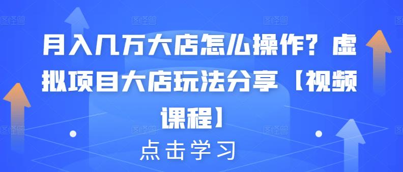 月入几万大店怎么操作？虚拟项目大店玩法分享【视频课程】-源创智汇网
