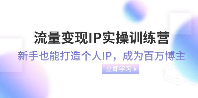 流量变现-IP实操训练营：新手也能打造个人IP，成为百万博主（46节课）-源创智汇网