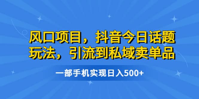 风口项目，抖音今日话题玩法，引流到私域卖单品，一部手机实现日入500+-源创智汇网