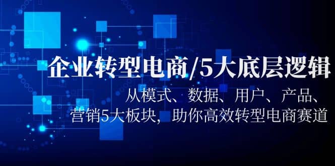 企业转型电商/5大底层逻辑，从模式 数据 用户 产品 营销5大板块，高效转型-源创智汇网