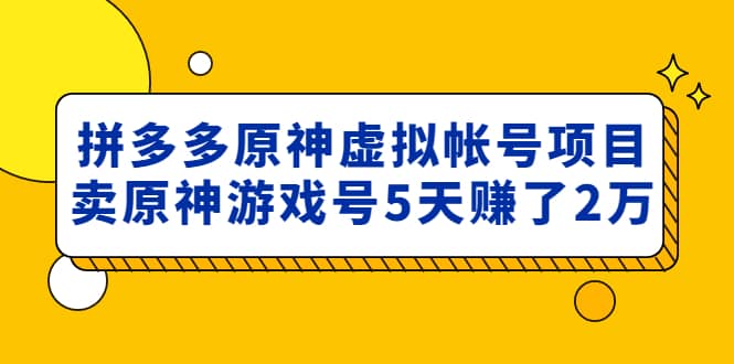 外面卖2980的拼多多原神虚拟帐号项目-源创智汇网