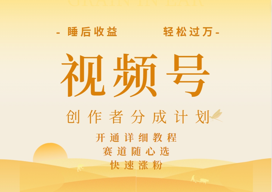 详解视频号创作者分成计划，暴力起号，可同步多平台，实现睡后收入2W+，看懂即可操作！-源创智汇网