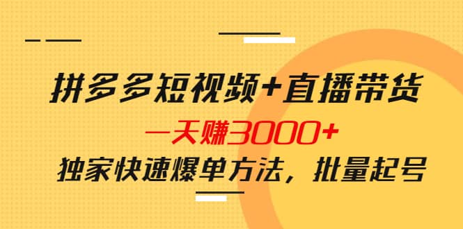 拼多多短视频+直播带货，一天赚3000+独家快速爆单方法，批量起号-源创智汇网