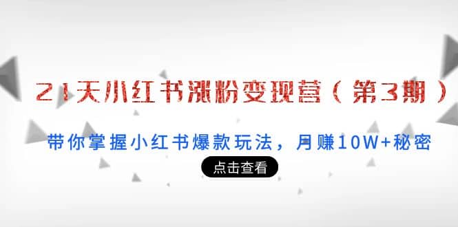 21天小红书涨粉变现营（第3期）：带你掌握小红书爆款玩法，月赚10W+秘密-源创智汇网