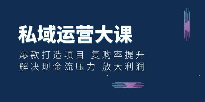 私域运营大课：爆款打造项目 复购率提升 解决现金流压力 放大利润-源创智汇网