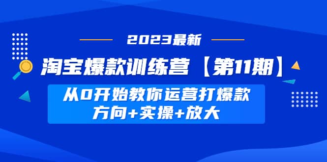 淘宝爆款训练营【第11期】 从0开始教你运营打爆款，方向+实操+放大-源创智汇网