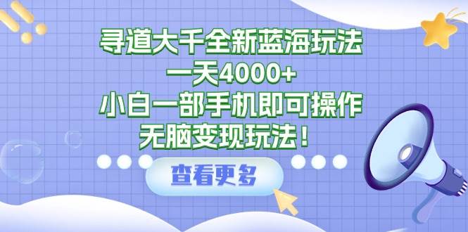 寻道大千全新蓝海玩法，一天4000+，小白一部手机即可操作，无脑变现玩法！-源创智汇网