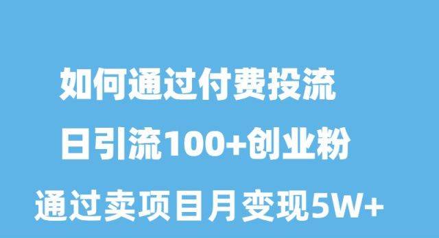 如何通过付费投流日引流100+创业粉月变现5W+-源创智汇网