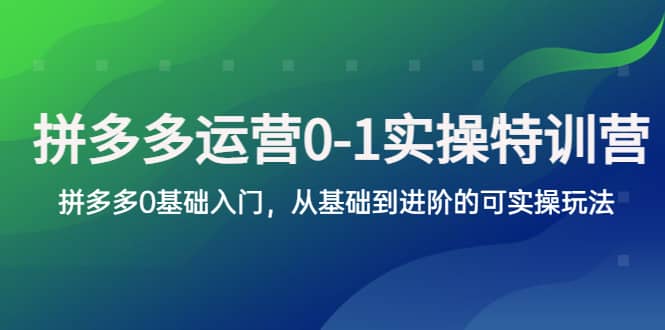 拼多多-运营0-1实操训练营，拼多多0基础入门，从基础到进阶的可实操玩法-源创智汇网