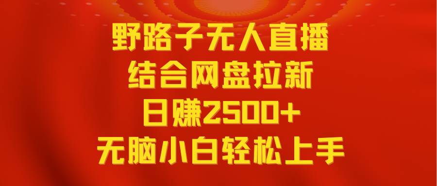 无人直播野路子结合网盘拉新，日赚2500+多平台变现，小白无脑轻松上手操作-源创智汇网