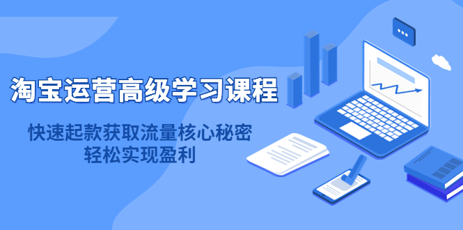 淘宝运营高级学习课程：快速获取流量核心秘密，轻松实现盈利！-源创智汇网