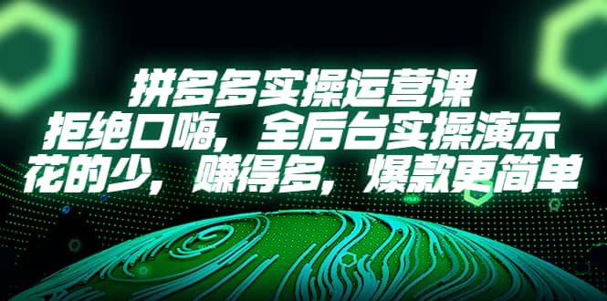拼多多实操运营课：拒绝口嗨，全后台实操演示，花的少，赚得多，爆款更简单-源创智汇网