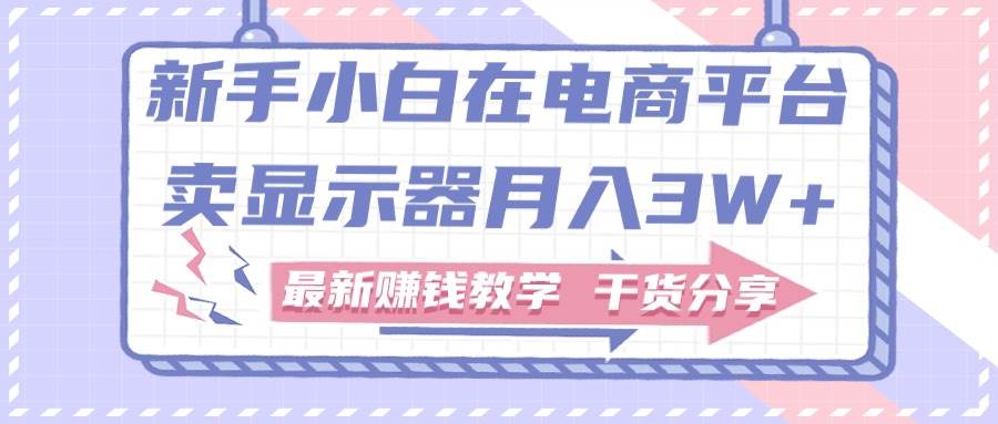 新手小白如何做到在电商平台卖显示器月入3W+，最新赚钱教学干货分享-源创智汇网