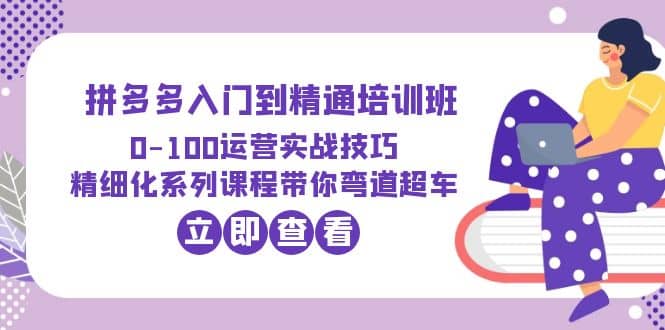 2023拼多多入门到精通培训班：0-100运营实战技巧 精细化系列课带你弯道超车-源创智汇网