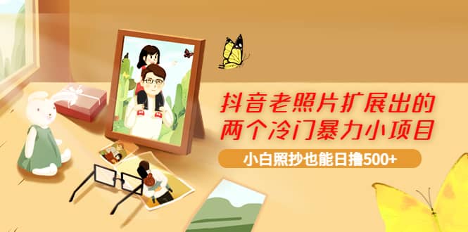 抖音老照片扩展出的两个冷门暴力小项目，小白照抄也能日撸500+-源创智汇网
