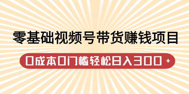 零基础视频号带货赚钱项目，0成本0门槛轻松日入300+【视频教程】-源创智汇网