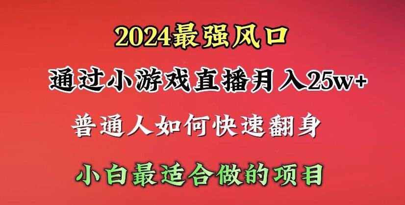 2024年最强风口，通过小游戏直播月入25w+单日收益5000+小白最适合做的项目-源创智汇网