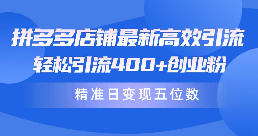 拼多多店铺最新高效引流术，轻松引流400+创业粉，精准日变现五位数！-源创智汇网