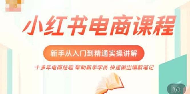 小红书电商新手入门到精通实操课，从入门到精通做爆款笔记，开店运营-源创智汇网