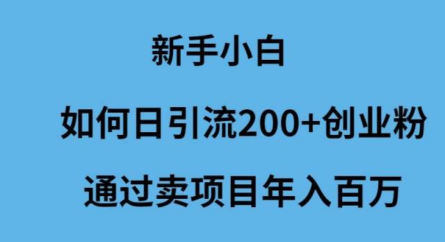 新手小白如何日引流200+创业粉通过卖项目年入百万-源创智汇网