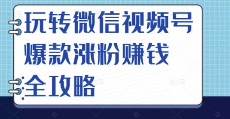 玩转微信视频号爆款涨粉赚钱全攻略，让你快速抓住流量风口，收获红利财富-源创智汇网