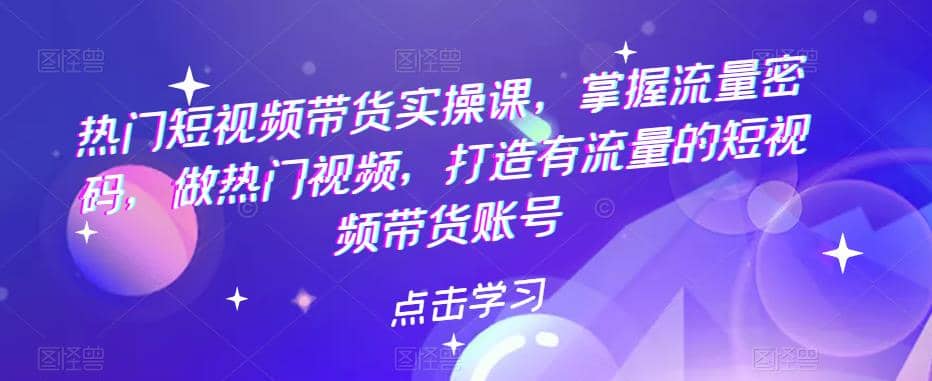 热门短视频带货实战 掌握流量密码 做热门视频 打造有流量的短视频带货账号-源创智汇网