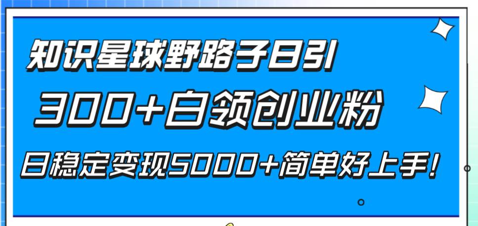 知识星球野路子日引300+白领创业粉，日稳定变现5000+简单好上手！-源创智汇网