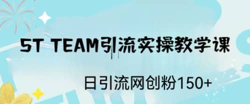 ST TEAM引流实操课，日引流网创粉100+-源创智汇网
