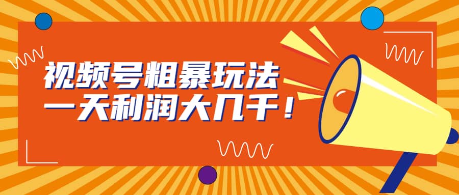 视频号粗暴玩法，一天利润大几千-源创智汇网