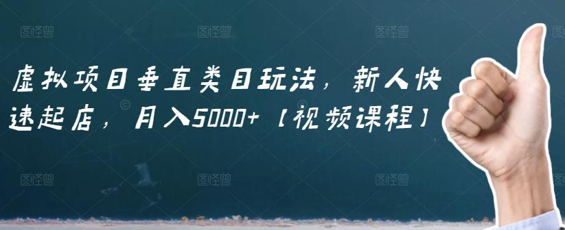 虚拟项目垂直类目玩法，新人快速起店，月入5000+【视频课程】-源创智汇网