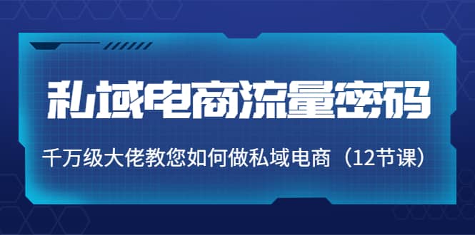 私域电商流量密码：千万级大佬教您如何做私域电商（12节课）-源创智汇网