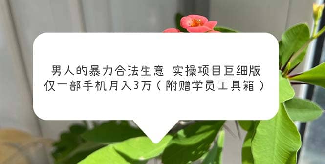 男人的暴力合法生意实操项目巨细版：仅一部手机月入3w（附赠学员工具箱）-源创智汇网