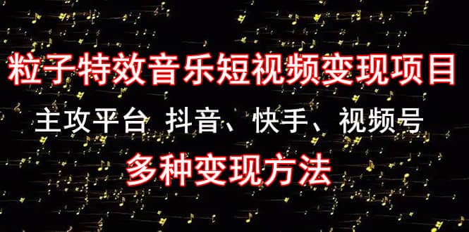 《粒子特效音乐短视频变现项目》主攻平台 抖音、快手、视频号 多种变现方法-源创智汇网
