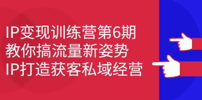IP变现训练营第6期：教你搞流量新姿势，IP打造获客私域经营-源创智汇网