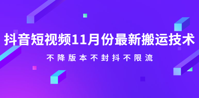 抖音短视频11月份最新搬运技术，不降版本不封抖不限流！【视频课程】-源创智汇网