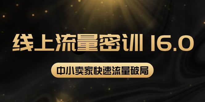 2022秋秋线上流量密训16.0：包含 暴力引流10W+中小卖家流量破局技巧 等等！-源创智汇网